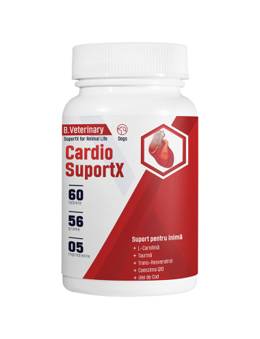 Cardio SuportX