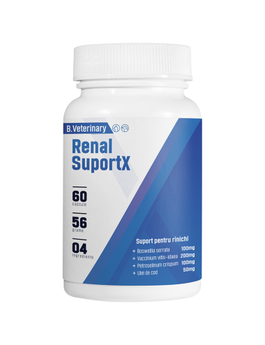 Renal SuportX