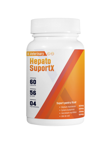 Hepato SuportX